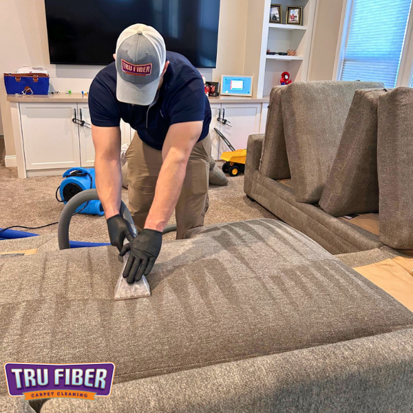 Upholstery Cleaning in Charlotte NC