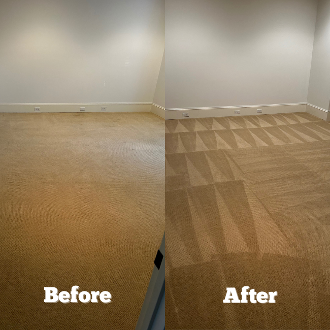 tru fiber home page 10 (200 x 200 px) (400 x 300 px) (600 x 600 px) (650 x 650 px) (1)