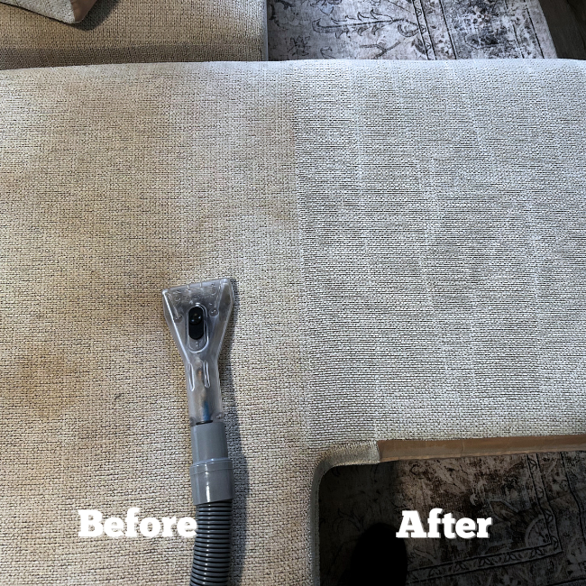 tru fiber home page 10 (200 x 200 px) (400 x 300 px) (600 x 600 px) (650 x 650 px)