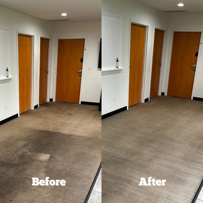 tru fiber guards 1) (10)