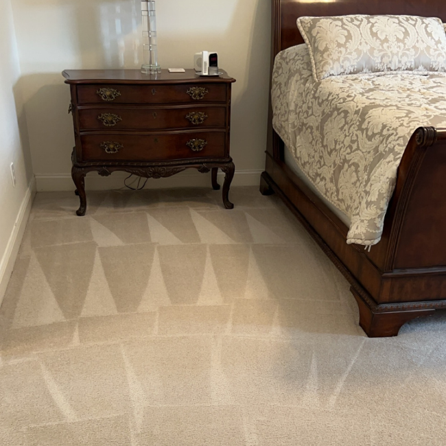 tru fiber guards 1) (4)